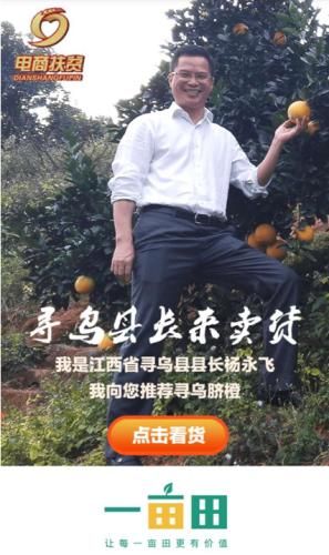 寻乌县长通过一亩田为寻乌脐橙做推介。 县长在一亩田代言 助寻乌脐橙成“网红”