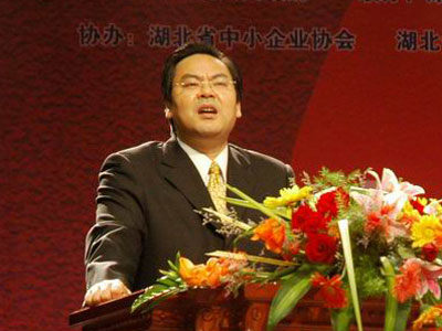 图:江苏远东集团副总裁卞华舵演讲_会议讲座