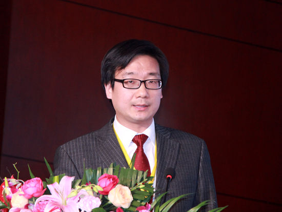图文:中国人民大学法学院副院长杨东|2015国际