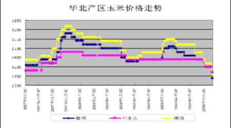 今年玉米上市后市场行情分析