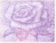 http://i2.sinaimg.cn/cj/imgtable/idx/2009/0910/U1383P31T88D20973F2014DT20090910114952.jpg