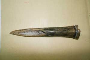 浙江发现5000年前新石器时代人胫骨匕首