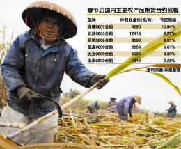 白糖小麦全线涨停农产品期货市场沸腾