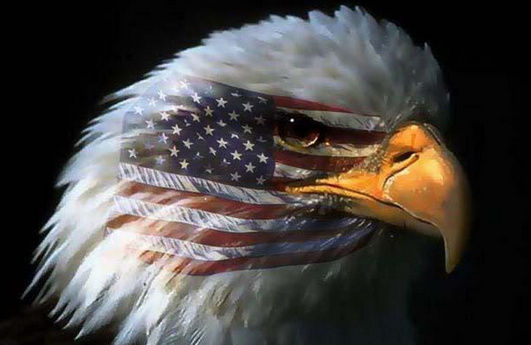 【掌上贵金属】立足长久诚必守 一招作弊百招