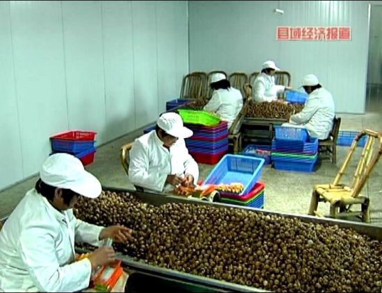 江苏靖江:小鹌鹑孵出亿元产业_农业滚动
