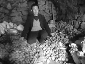去年丰收的土豆一直存在地窖里，天气回暖后储存难度加大。眼看着自家地窖里囤积的土豆要坏掉，杨秀文一脸愁容。