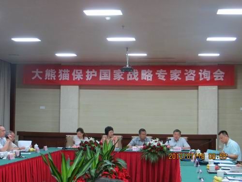 大熊猫保护国家战略专家咨询会召开_农业滚动