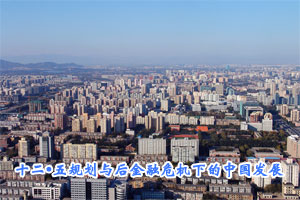 2010恩必特经济论坛