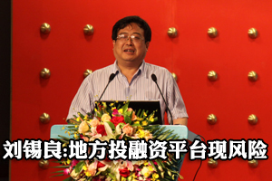 刘锡良：地方政府投融资平台风险已开始显现