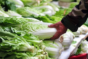 商务部：大白菜价格涨至去年2.7倍