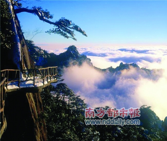 广东人最喜爱的中国旅游目的地评选