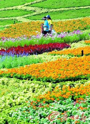 春节亚洲自由行:东南亚老邻居换个新鲜地(组图)