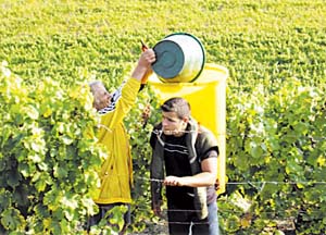 �ڷ���������˹Ʒ������