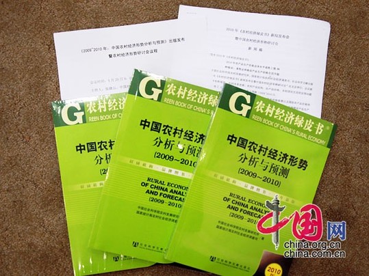 中国农村经济_农村经济纯收入