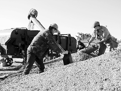 ũҵ�����й���ϣ����ȡ����7����������