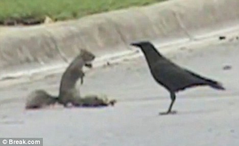 СС�����������屣��ͬ��ʬ������ѻ����