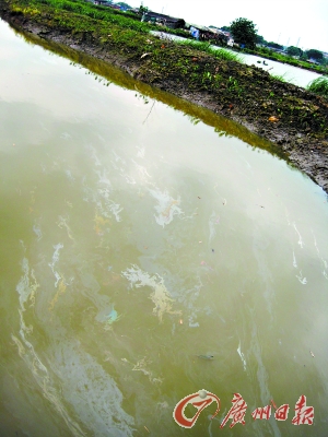 ���Ϻ�ӿһҹ�ֺ���