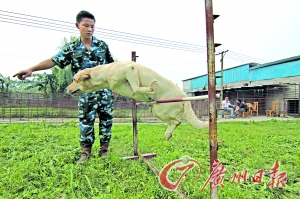 ������ѧ�ð����³�������