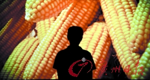 ���ߵ��ؿ��ܼ�ǿũ��Ʒ�ڼ�����ũ��Ʒ������������