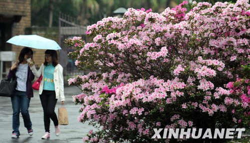 ����������½����̨��Ӧ�����Ӵ���