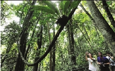 ���쳤�߳������ŷ�����1��2����ǰ�������ڼ���п�ʡǮ