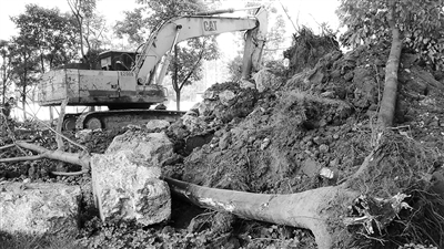 ������������Ƭ�̵ر���