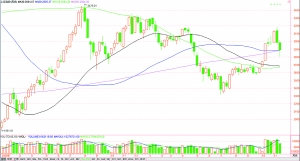 ����Ӱ������