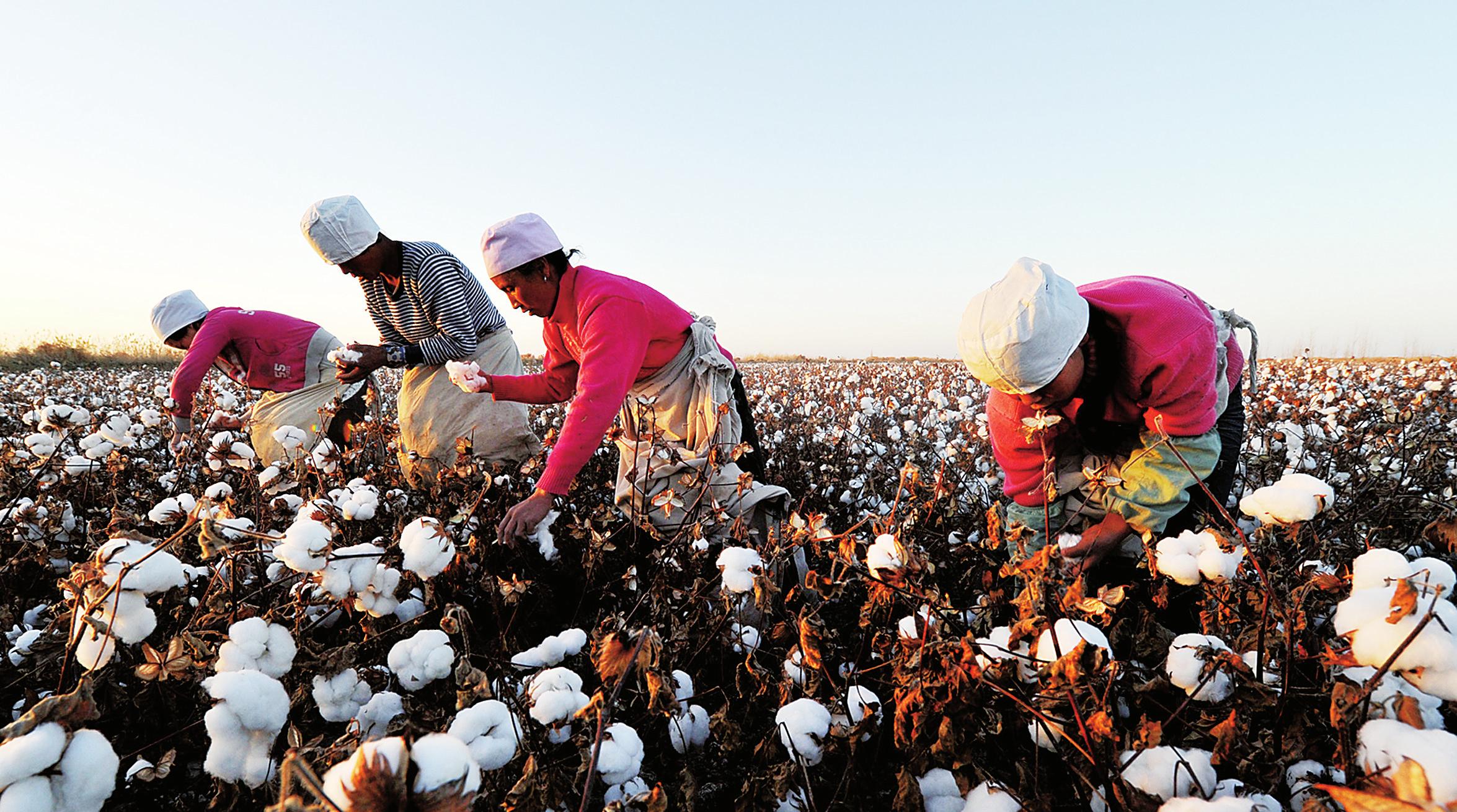 �½���ǿ�������