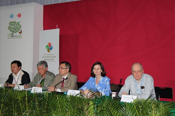 ���й�Ӧ������仯�������ж�������߻��ڿ�������