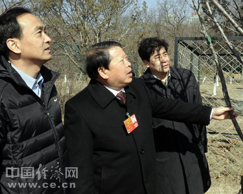 傅企平代表:生态滕头欲向北连锁