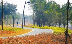 深圳龙岗半程马拉松赛今日鸣枪开跑_滚动新闻