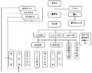 宁夏大元化工股份有限公司完善内部控制公司治