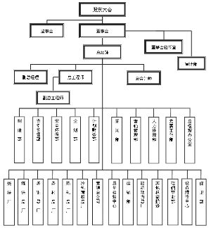 武汉钢铁股份有限公司公开发行公司债券募集说