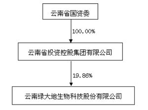 云南绿大地生物科技股份有限公司2013年度报