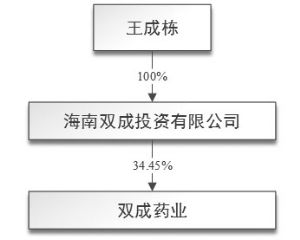 海南双成药业股份有限公司非公开发行股票预案