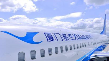 �ú�787�ɻ�ײ�Ϻ�վ¥����