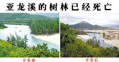 海南23家五星酒店私吞公共沙滩 成有钱人天堂