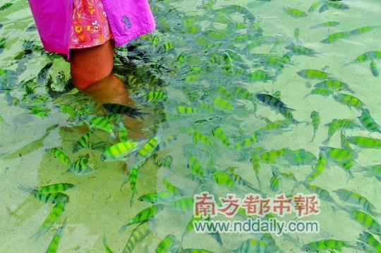 马来西亚:让阳光和海滩为爱情加糖(组图)
