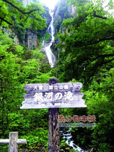 北海道:头枕花田入睡去(组图)