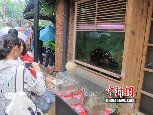 台湾苗栗别具一格的农家小屋(组图)