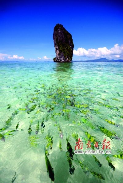 与鱼儿嬉戏 泰国甲米:左手是闲逸 右手是刺激(组图)