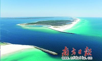 海豚岛 探寻海豚岛的奥秘(组图)
