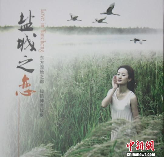 《盐城之恋》微电影海报。窦跃文 摄 盐城发布旅游微电影 以鹤为由讲大爱