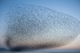 ����Ⱥɽ����ճ��ִ��������������