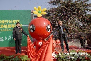 ����--��������֮��ϲӭ����������