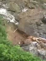 少妇参加完聚会失踪遭强奸被弃山沟