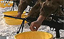 39集团军狙击手训练零下20度冰水中捡钢珠