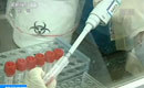 北京一4岁男童携带H7N9