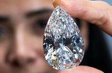 �ն�����