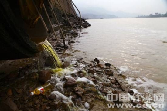 泰朗钢管厂区背后，一根直径约2米的管道将亮黄色污水排入瓯江。蒋毅坤/摄